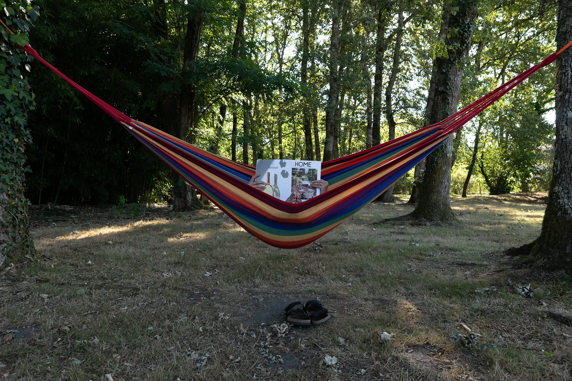 Hammack sous les arbres