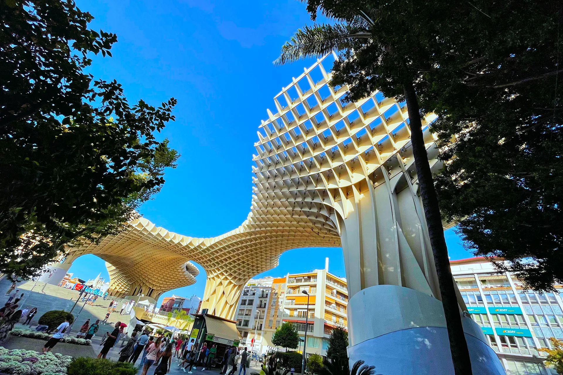 Setas de Sevilla