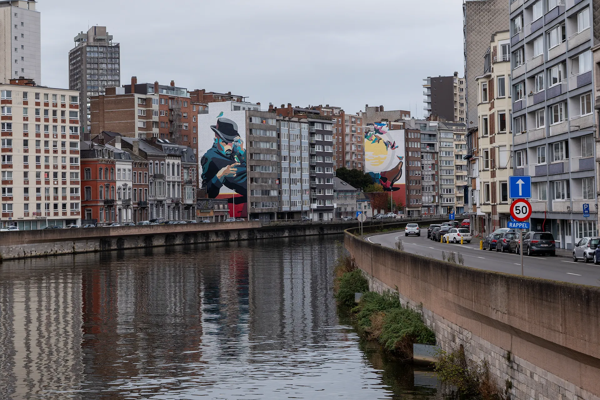 L'homme et les oiseaux